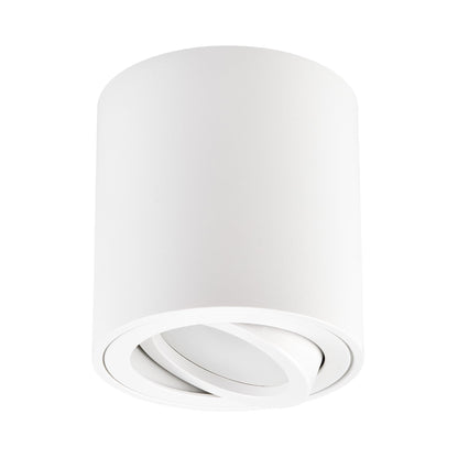 SPOT SURFACE - MOUNTED LUMINAIRE TUBA WHITE BOLT W1 - LuminaLux