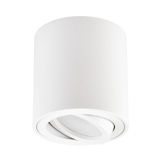 SPOT SURFACE - MOUNTED LUMINAIRE TUBA WHITE BOLT W1 - LuminaLux