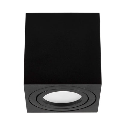 SPOT TUBA SURFACE - MOUNTED LUMINAIRE BLACK ERBA W1 - LuminaLux