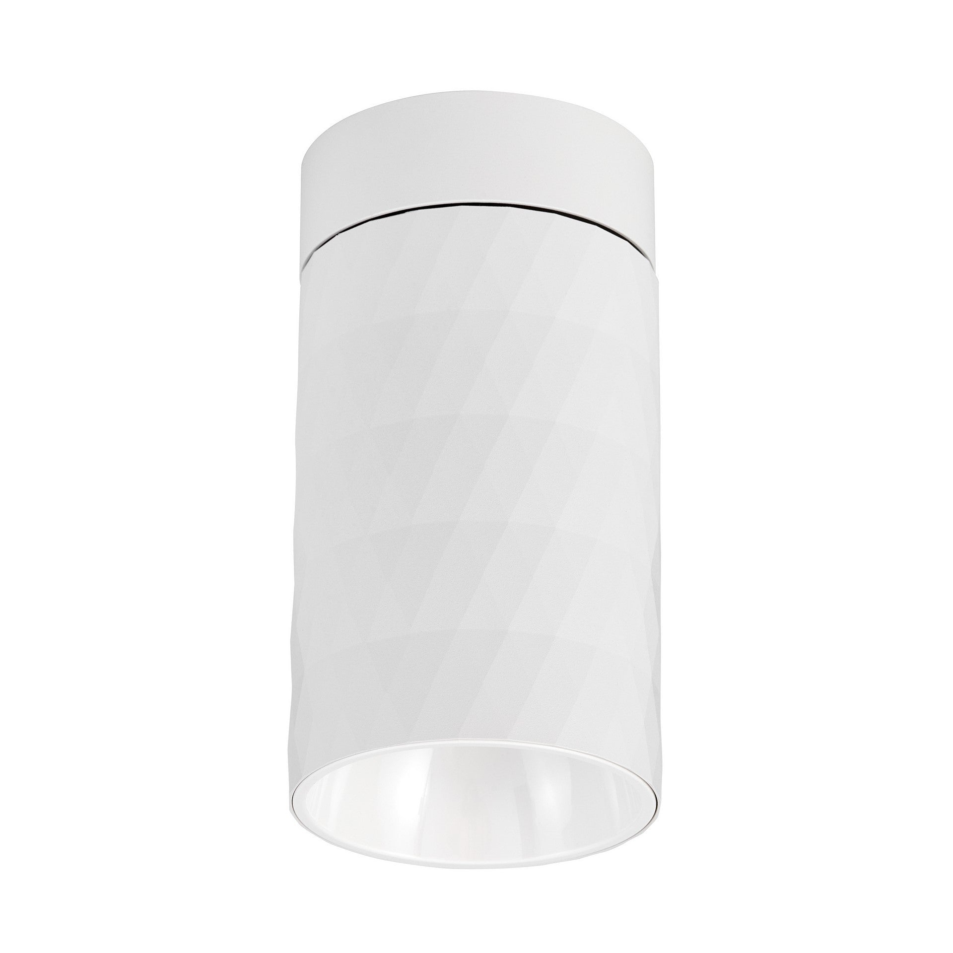 SPOT TUBA SURFACE - MOUNTED LUMINAIRE WHITE BIBI W1 - LuminaLux