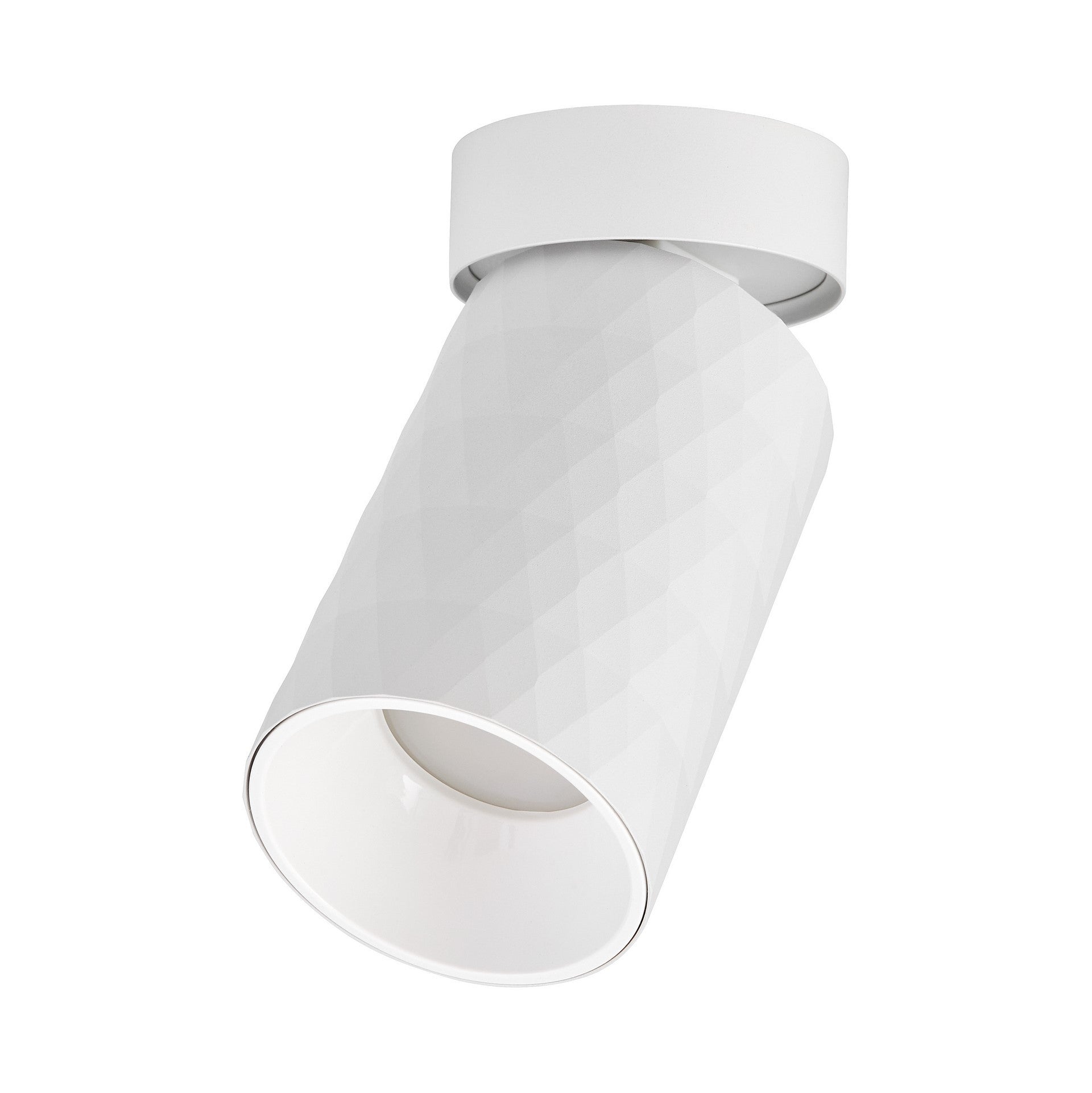SPOT TUBA SURFACE - MOUNTED LUMINAIRE WHITE BIBI W1 - LuminaLux