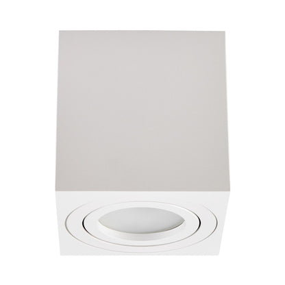 SPOT TUBA SURFACE - MOUNTED LUMINAIRE WHITE ERBA W1 - LuminaLux